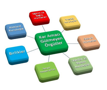 Kâr Amacı Gütmeyen Kuruluş — görsel 1