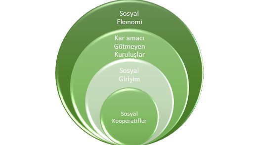 Sosyal Girişim Modelleri — görsel 1
